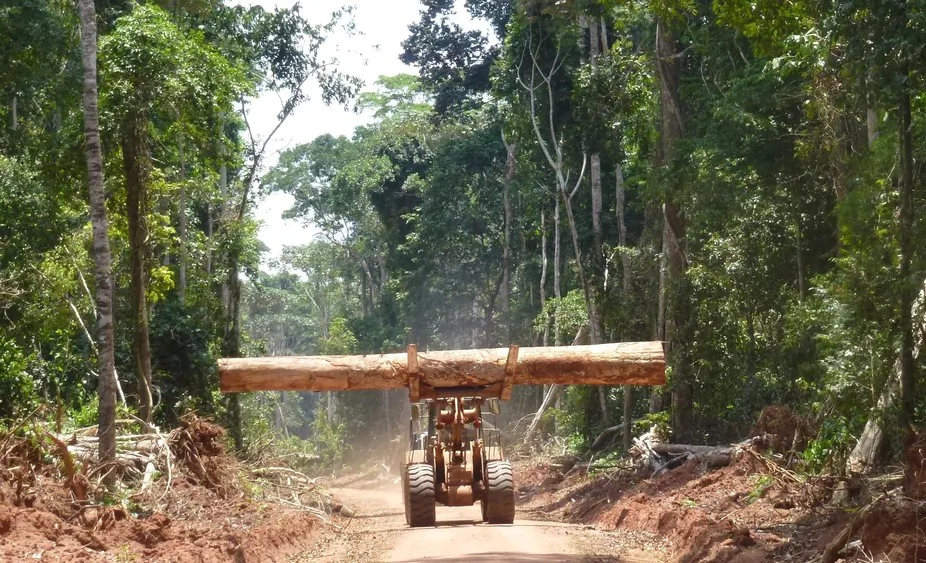 Roads built for logging in the Congo Basin have implications for forest management. (Fritz Kleinschroth)