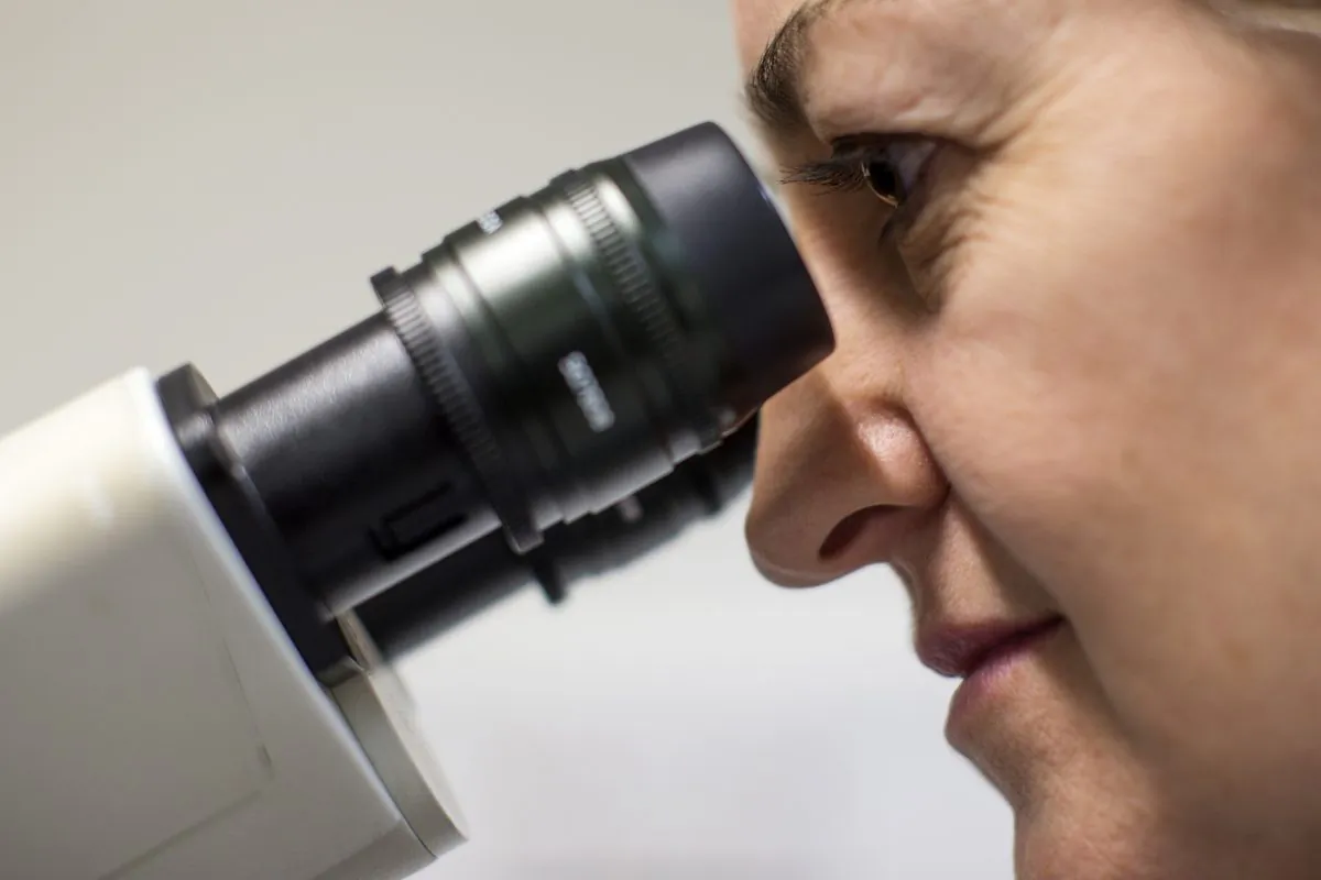 A Scientist looks at cells through a fluorescent microscope at the laboratories at Cancer Research U.K. Cambridge Institute, in Cambridge, England, on Dec. 9, 2014. (Dan Kitwood/Getty Images/Cancer Research U.K.)