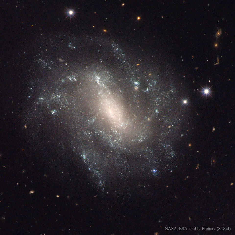 A Hubble Space Telescope image of the galaxy UGC 9391, one of the galaxies in the new survey. (NASA, ESA, and A. Riess [STScI/JHU])