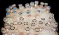 Will the Polio Virus Defeat Cancer?