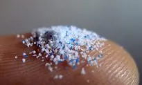 Chemicals in Microplastics Can Be Absorbed Through Skin: Study
