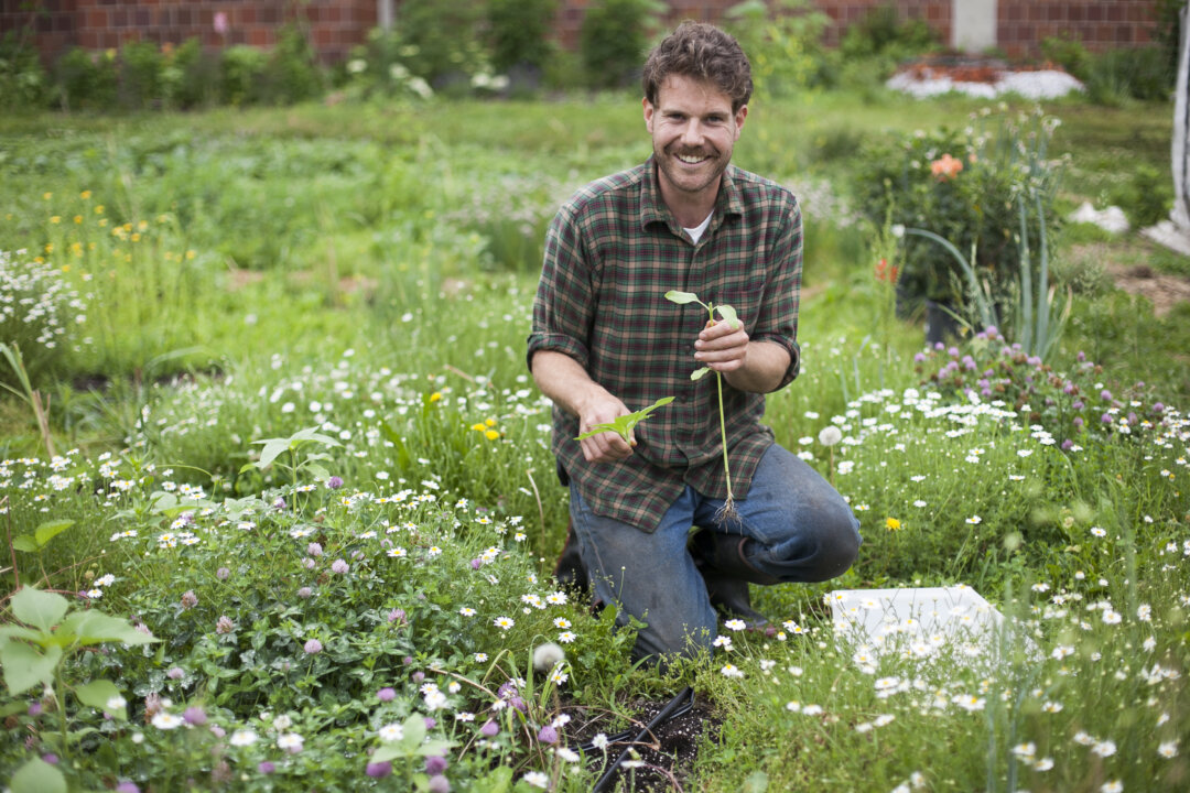 Farm manager Andrew Casner at the 10,000 square foot Urban Farm developed by HELP USA in partnership with PROJECT EATS to provide fresh produce to HELP USA’s shelter cafeterias and its 6-8 week Culinary Arts Program which is available for shelter residents at Wards Island, June 11, 2014. (Samira Bouaou/Epoch Times)