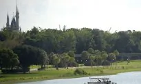 Report: Alligator Saw Boy as Prey in Disney Attack
