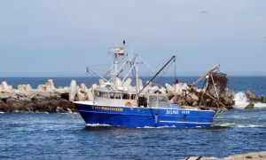 Trump Lifts Biden-Era Restrictions on Commercial Fishing in Atlantic Marine Monument