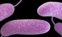 Louisiana Issues Warning After Deaths From Flesh-Eating Bacteria