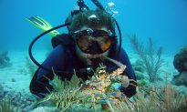 Underwater Beauty at Key Largo