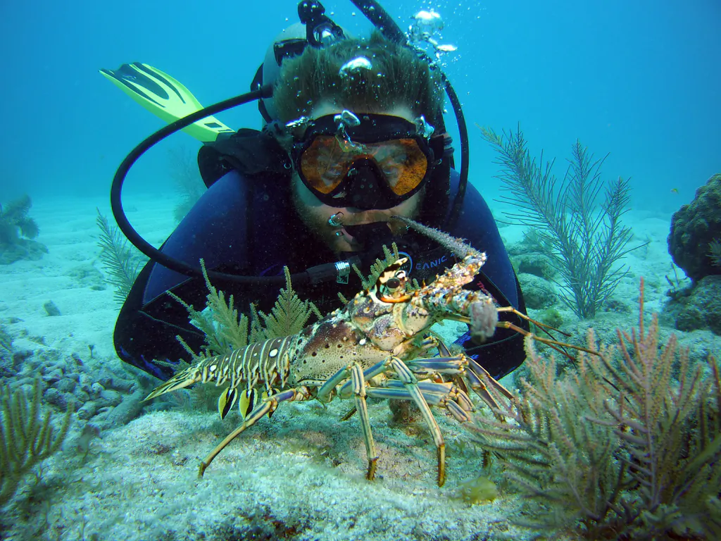 Captain Travis watches the antics of a friendly lobster. (Copyright © 2016 John Christopher Fine)