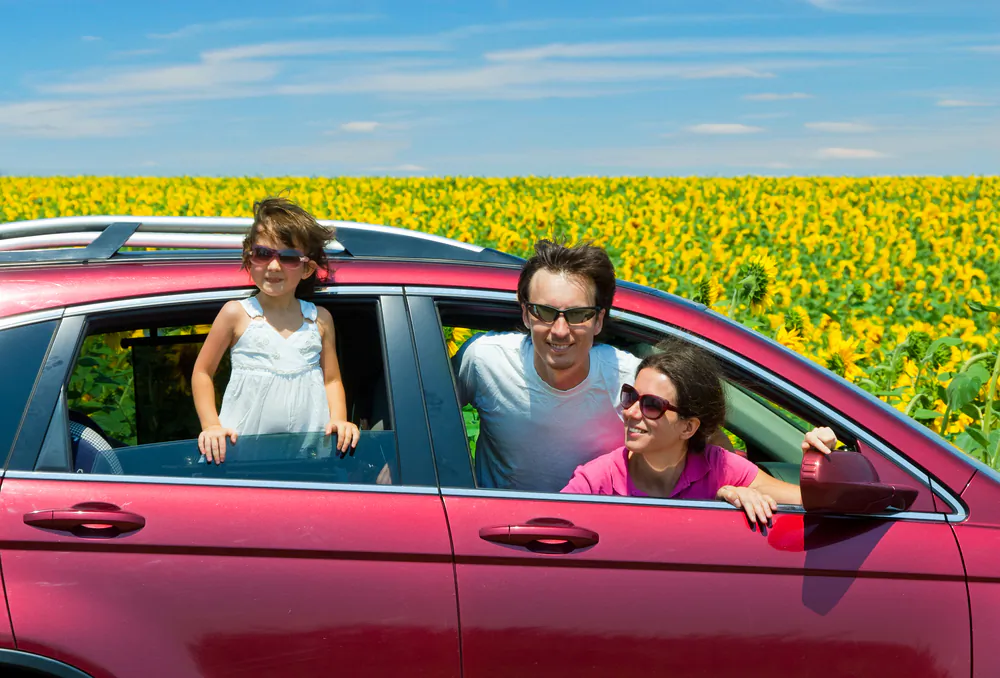 (Shutterstock/JaySi)