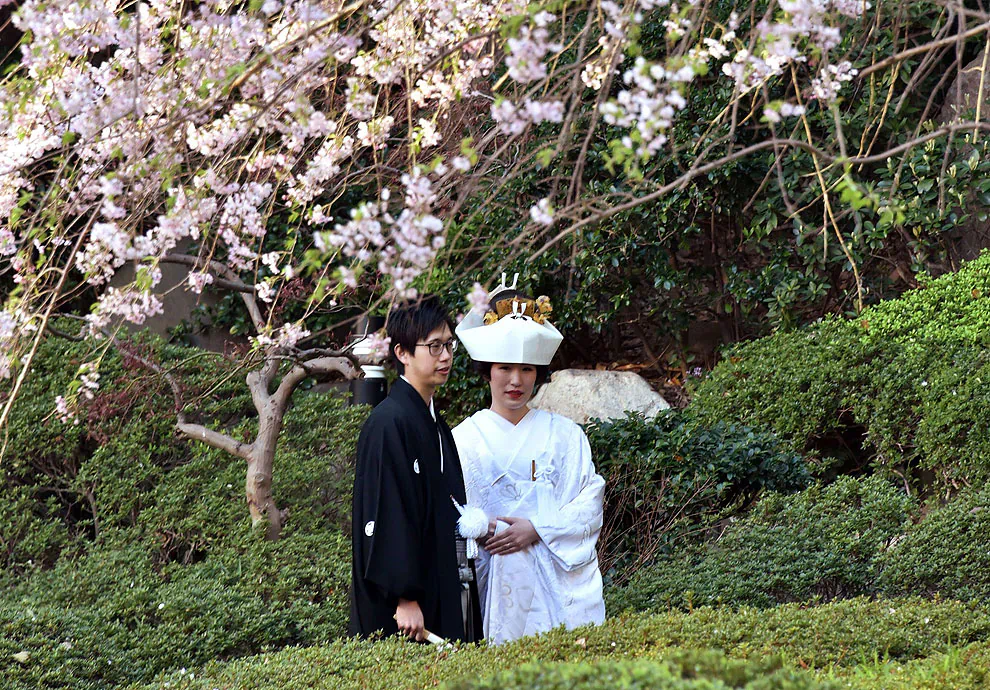 A bride and groom stand under a cherry blossom tree with flowers in full bloom in a hotel garden in Tokyo on April 2, 2015. (Yoshikazu Tsuno/AFP/Getty Images)