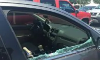 Florida Police Smash Window to Save Tiny Puppy Locked in Hot Car