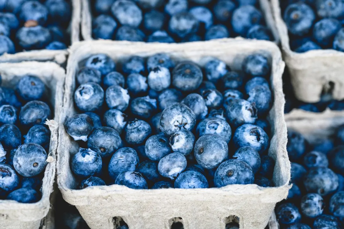 (veeterzy/unsplash)
