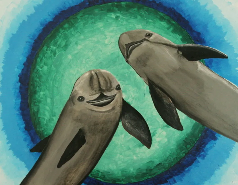 Painting of vaquitas. (Courtesy of Barbara Taylor)