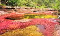 This Bizarre River in Colombia Is Called ‘Liquid Rainbow’ (Video)
