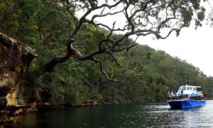A Day in the Sydney Outback