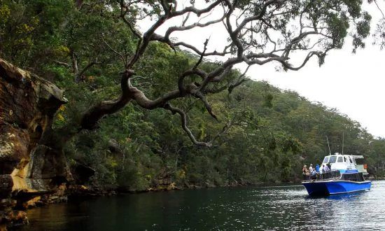 A Day in the Sydney Outback