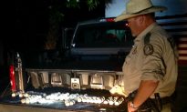 Florida Man Jailed After Stealing More Than 100 Sea Turtle Eggs