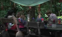 Kindergartens in the Forest Allow Children to Sync With Nature