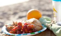 15 Recipes – How to Pack the Perfect Vegan Picnic