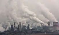 Business Leaders Face Increasingly Harsh Global Environment