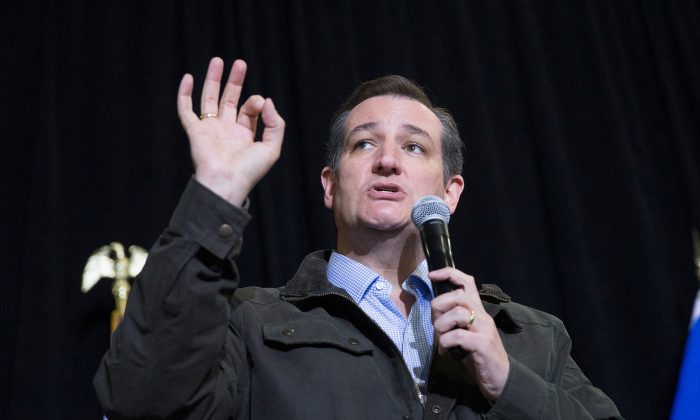 Ted Cruz (R-TX). (Scott Olson/Getty Images)