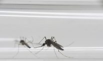 Mosquito Control Officials: Even Zika Suspicions Are Costly