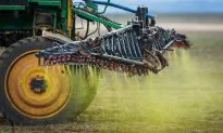 ‘Toxic Legacy’ — How Glyphosate Destroys Your Health