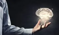 Here’s What ‘Free Will’ Looks Like in Your Brain