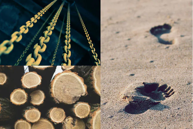 Top Left: (Fré Sonneveld/Unsplash.com/Public Domain) Bottom Left: (Aleksandar Radovanovic/Unsplash.com/Public Domain) Right: (Christopher Sardegna/Unsplash.com/Public Domain)