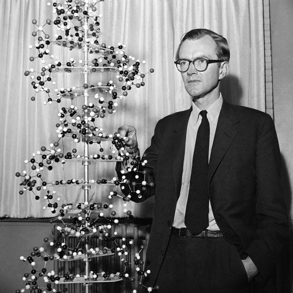 Dr. Maurice Hugh Frederick Wilkins, 46, of Greenwich, England, stands with a model of a DNA molecule during a news conference in the New York office of the Sloan-Kettering Institute for Cancer Research on Oct. 18, 1962. Specific sequences of four building blocks—abbreviated as A, C, T and G—found in the DNA molecule give an organism directions for creating particular proteins. Wilkins shared the Nobel Prize for medicine with two other biochemists, Drs. Francis Harry Compton Crick and James Dewey Watson. (AP Photo/Anthony Camerano)