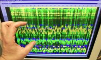 Scientists Work Toward Storing Digital Information in DNA