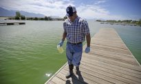 Toxic Algae Rampant in California, Also Spreading Nationwide