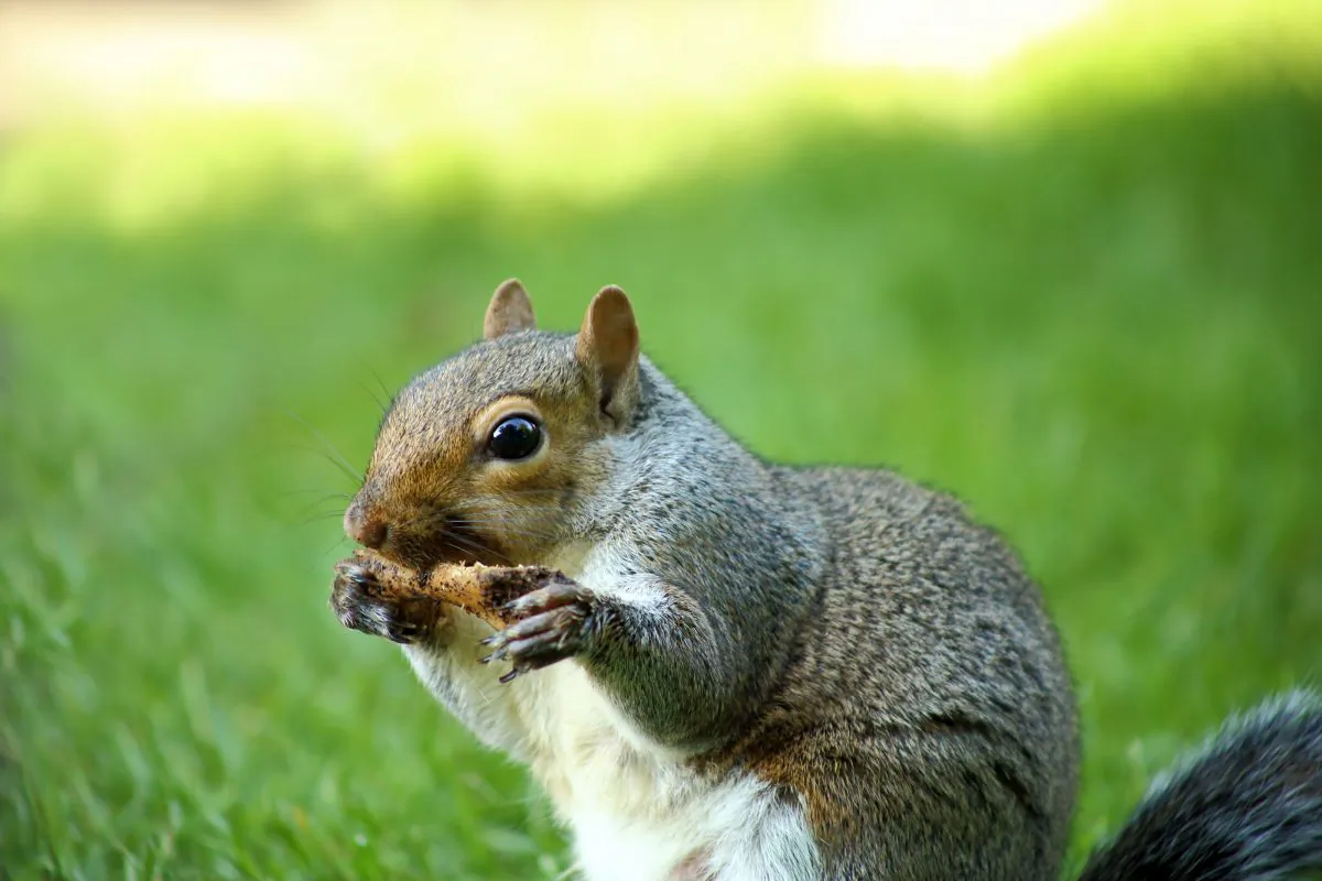 (tviolet/Shutterstock)