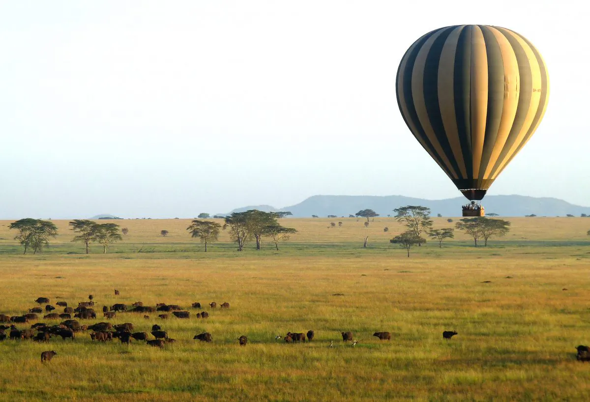 A hot air balloon drifts above wildebeest on Tanzania's Serengeti Plain. (Barbara Angelakis)