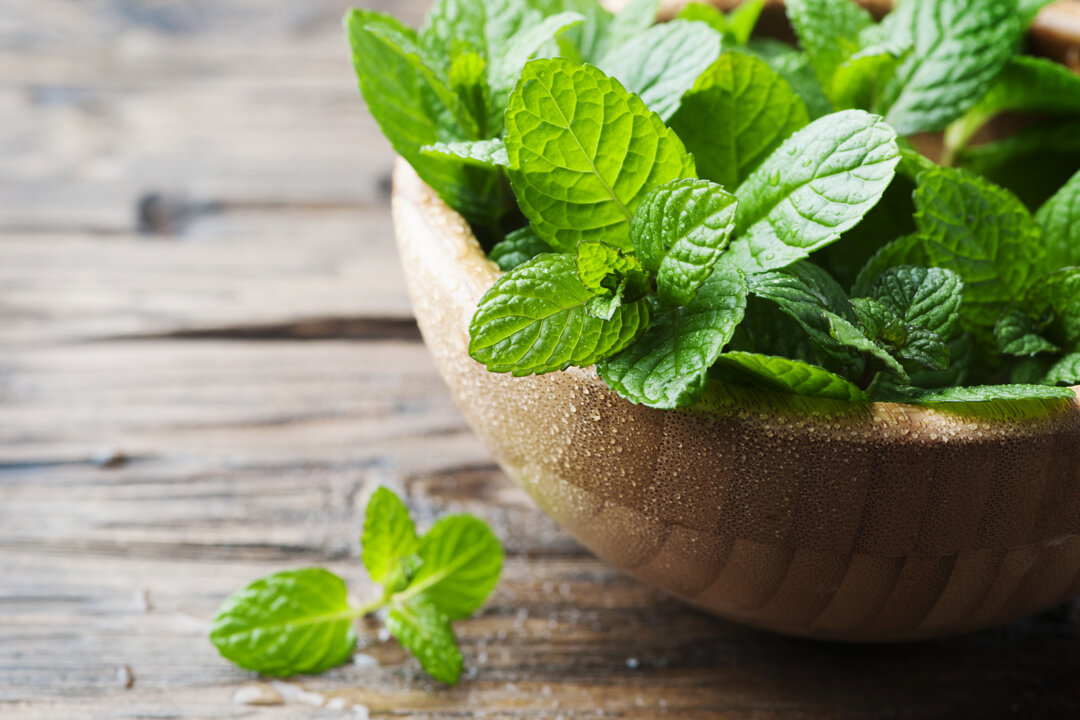 Peppermint is one of about 25 varieties of mint. (Oxana Denezhkina)