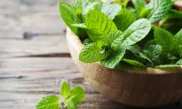 23 Cancer Stem Cell Killing Foods Smarter Than Chemo and Radiation
