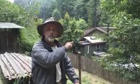 Wildfire Sparks Decline in Tourism Business in Big Sur