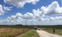 Officials: No Apparent Survivors in Texas Balloon Crash