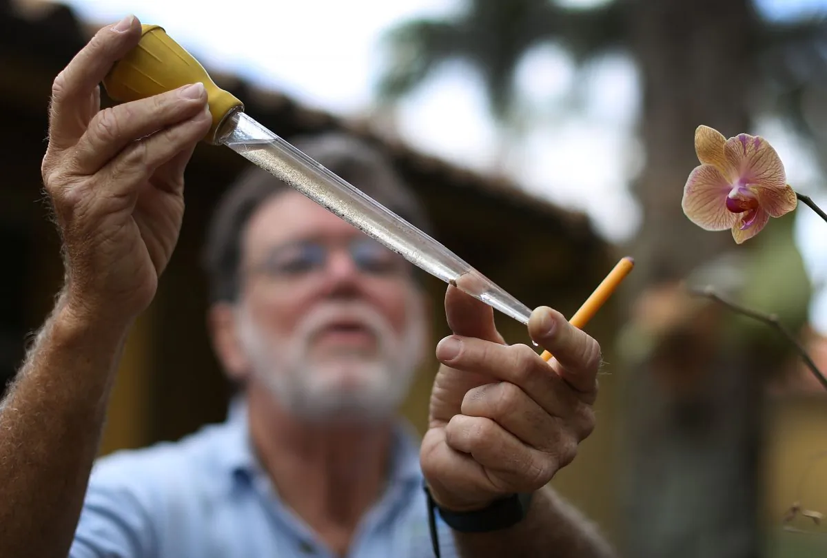 Giraldo Carratala, a Miami-Dade County mosquito control inspector, looks at mosquito larva in a sample of water that he took from a pool of standing water before using a pesticide to eradicate the larva in Miami Gardens, Fl., on April 20, 2016. (Joe Raedle/Getty Images)
