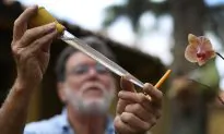 Officials Encourage Travelers Not to Shun Florida for Zika