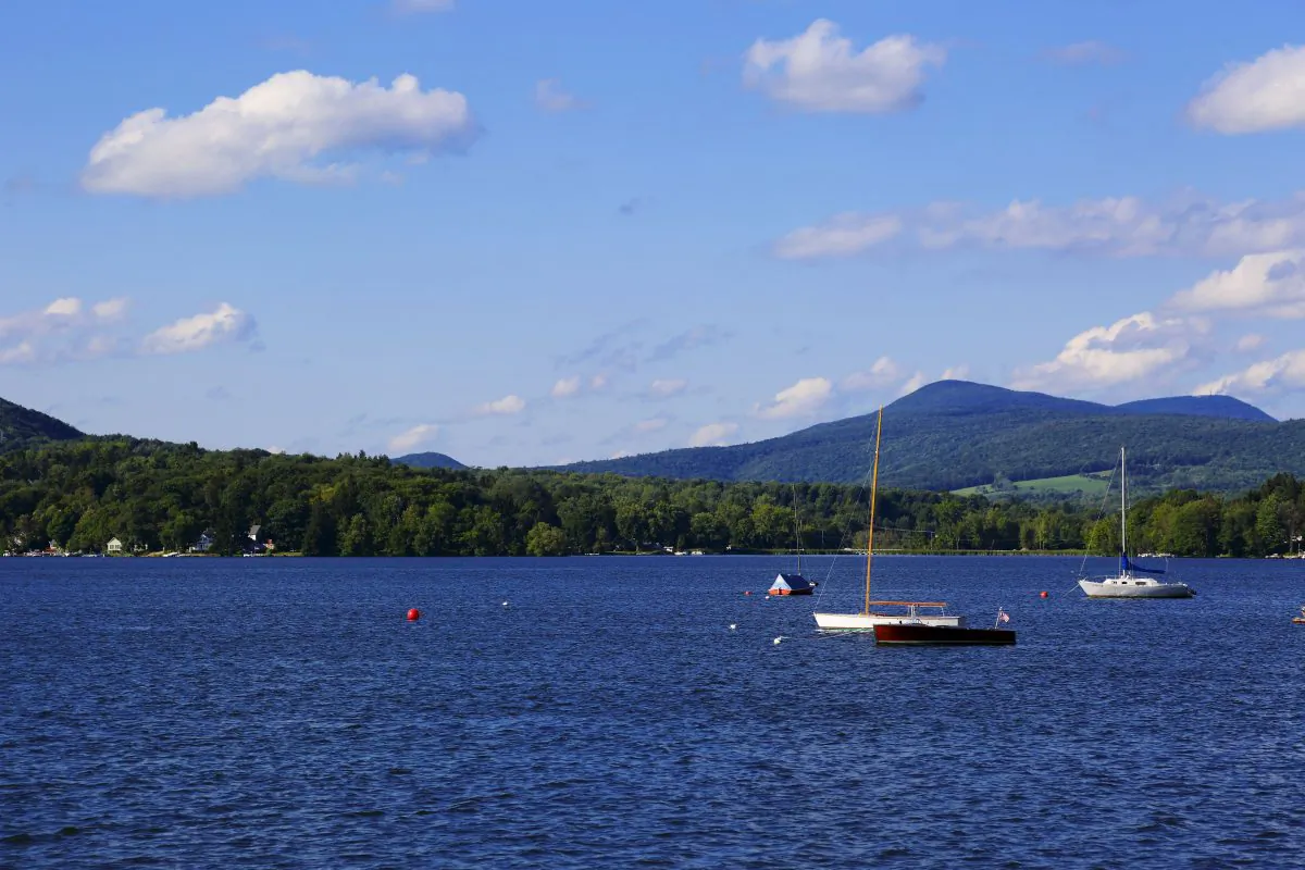 Summer 2014, Pontoosuc Lake, Lanesborough. (Ogden Gigli)