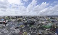 How Tiny Pieces of Plastic in Our Oceans Are ‘Terrifying’