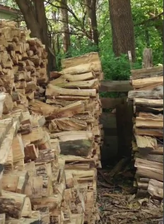 Cat Hiding in Plain Sight Stumps the Internet (Video)