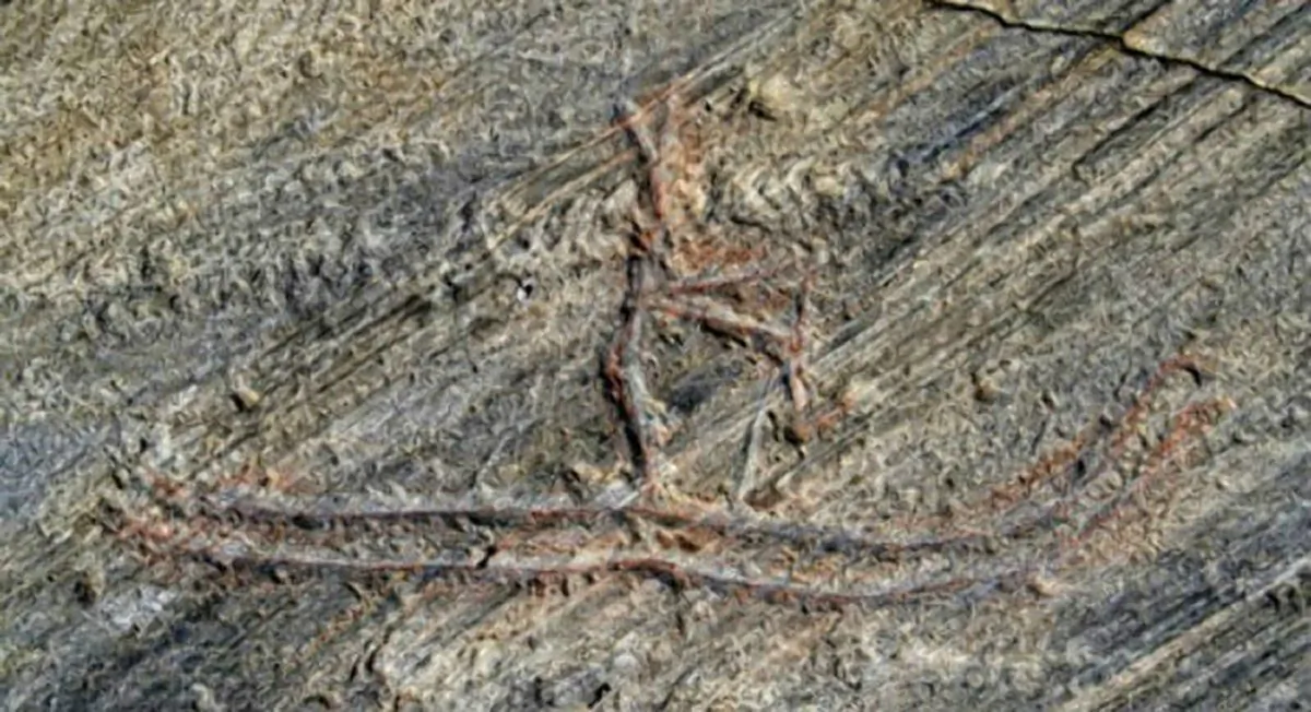 (Nordland Fylkeskommune website)