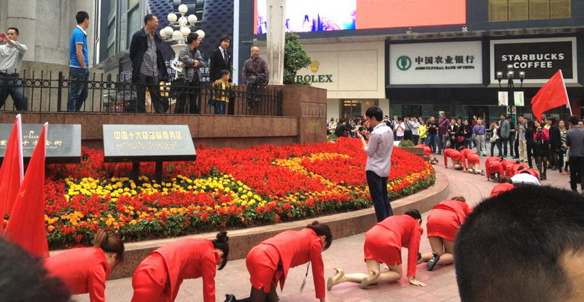 Epoch Times Photo
