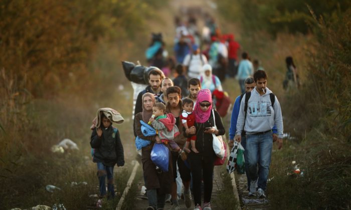 Migrants make their way through Serbia, near the town of Subotica, towards a break in the steel and razor fence erected on the border by the Hungarian government on Sept. 9, 2015. (Christopher Furlong/Getty Images)