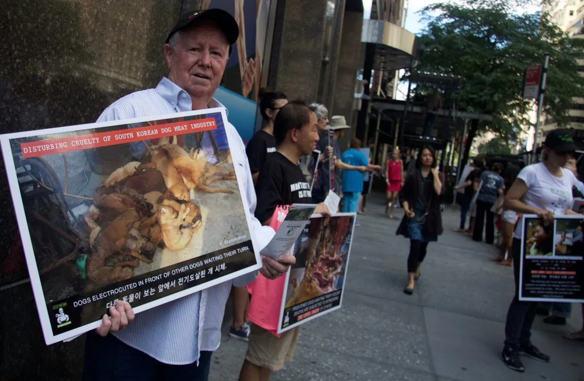 Protesters against South Korea’s Boknal Dog Meat festival gather at the South Korean consulate in New York City, on July 27, 2016. (Shanga Juckas, Epoch Times)