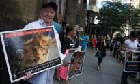 South Korea Shuts Down Largest Dog Meat Slaughterhouse