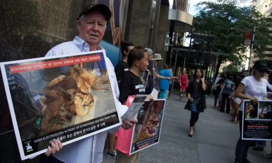 South Korea Shuts Down Largest Dog Meat Slaughterhouse