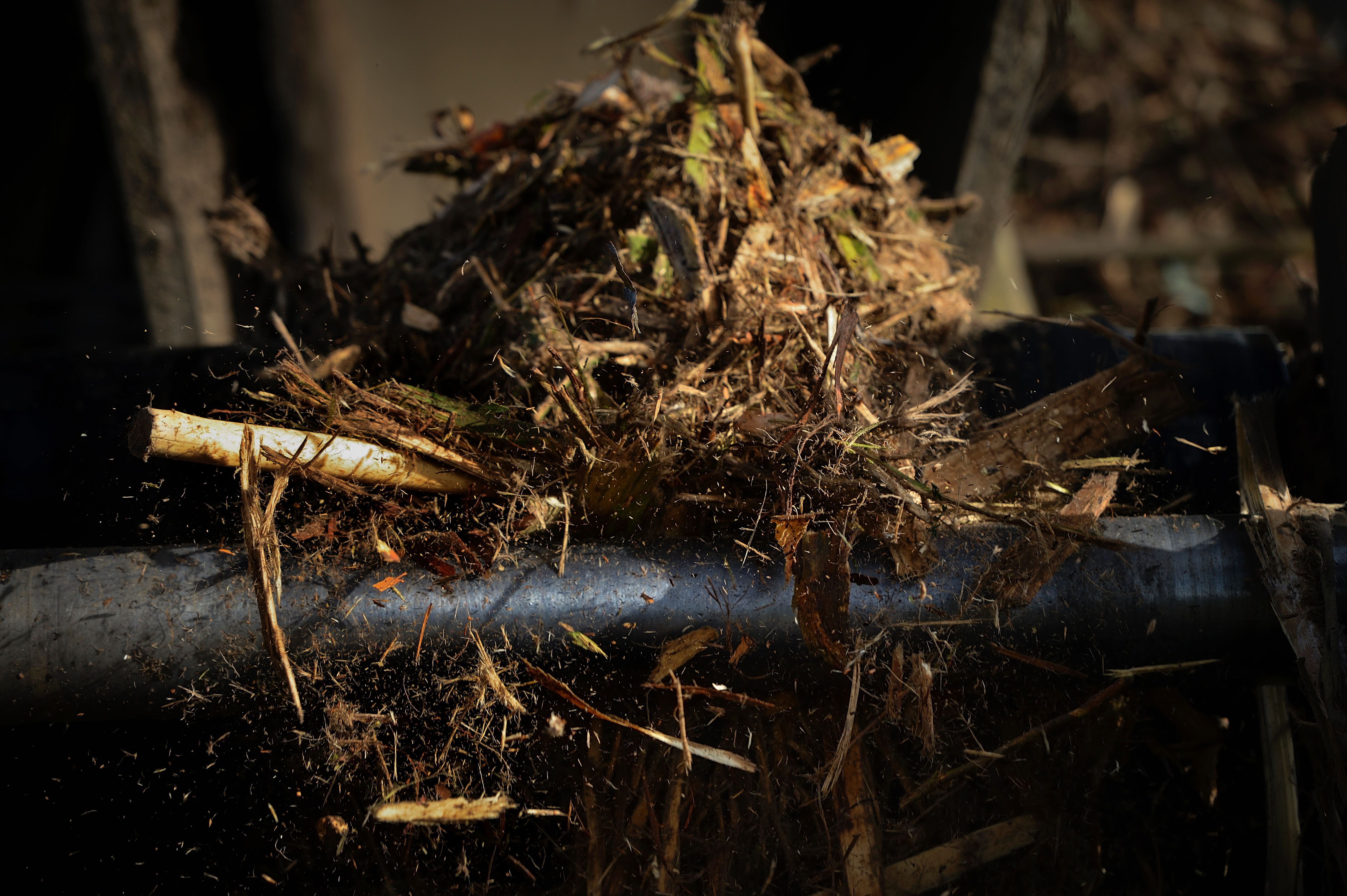 A file photo of bark and forest scraps at a biomass plant. (Miguel Riopa/AFP/Getty Images)
