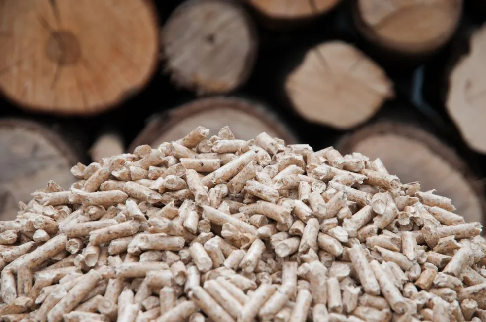 Wood pellets burned to produce electricity in biomass plants. (Tchara/Shutterstock)